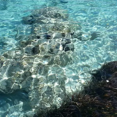 Sul Porticciolo-on The Marina La Maddalena (Sassari)